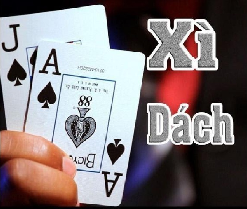 Xì Dách 4 Lá Xì Tính Mấy? Cách Tính Điểm Xì Dách Chi Tiết Nhất