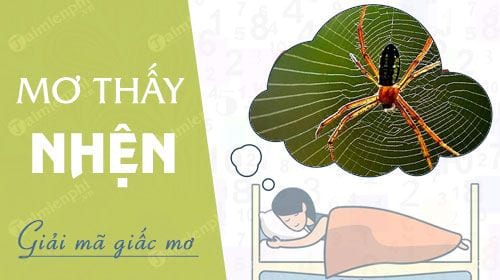 Nằm mơ thấy nhện đánh lô đề con gì? là điềm báo gì?