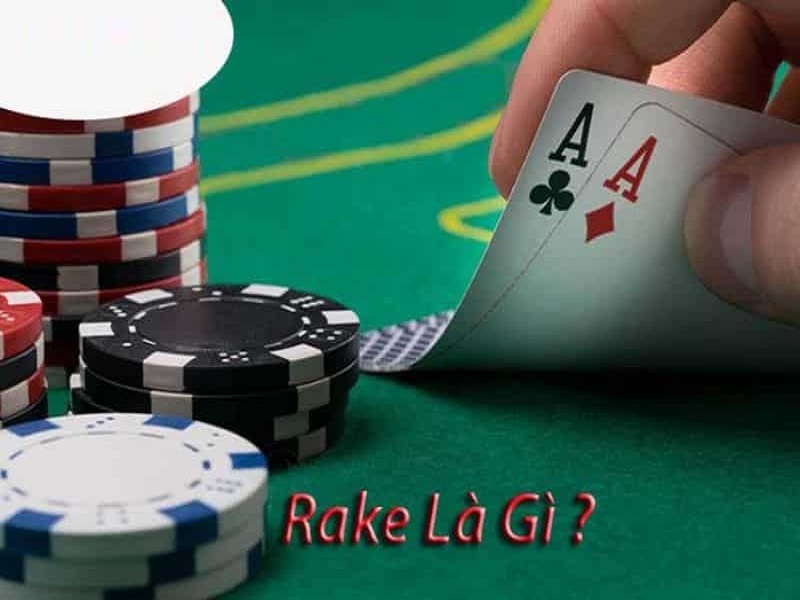 Rake Poker là gì? Những khái niệm quan trọng ảnh hưởng đến bàn tay