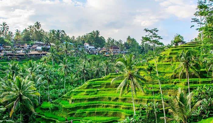 Thị trấn Ubud Bali